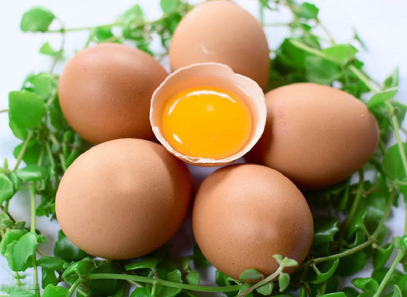 Lòng đỏ trứng có khả năng cải thiện chất lượng và số lượng tinh trùng